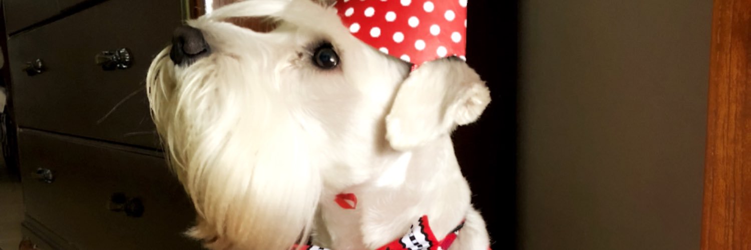 RickSotoU's profile banner image