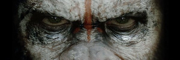 Patmcca1l Profile Banner
