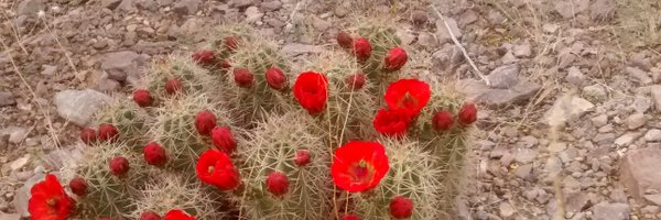 8Penny8 Profile Banner