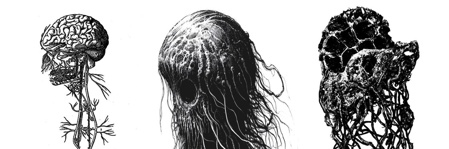 loganparker's profile banner image