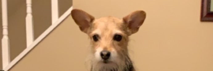 nate_schwarz3's profile banner image