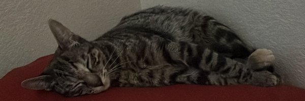 coolguyblake420 Profile Banner