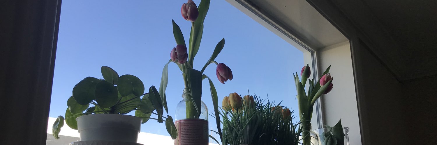 sp4cegrrl's profile banner image