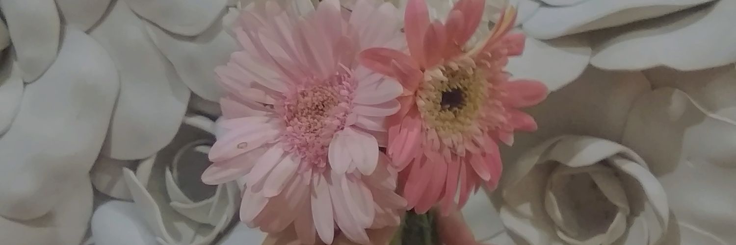 hollaayas's profile banner image