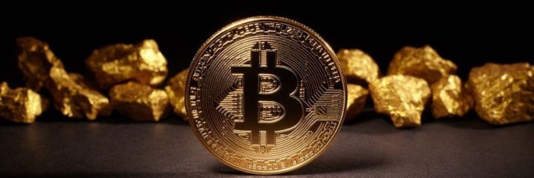 Cryptomania banner