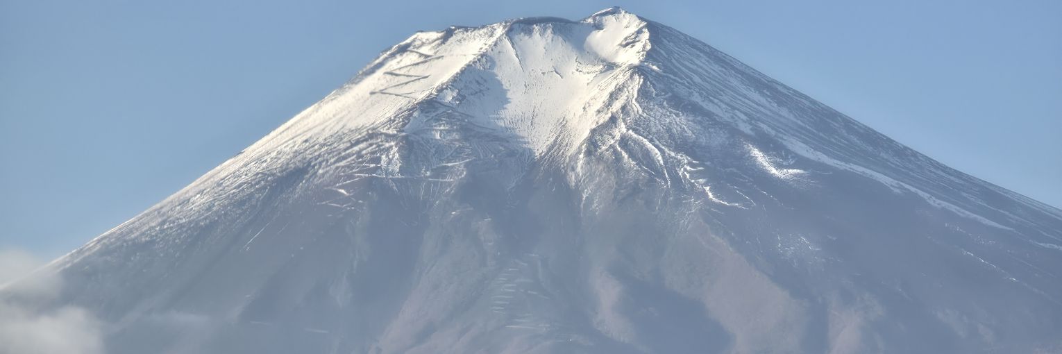 Aspen🌳🌲 banner