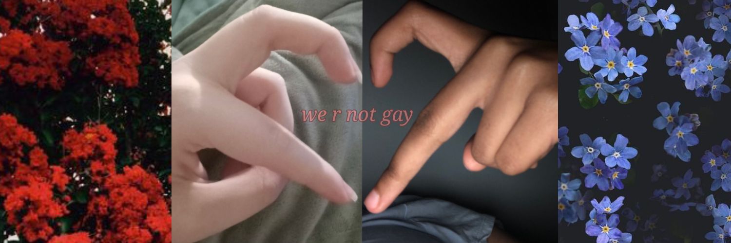 RIMBAUDpilled 🧣's banner