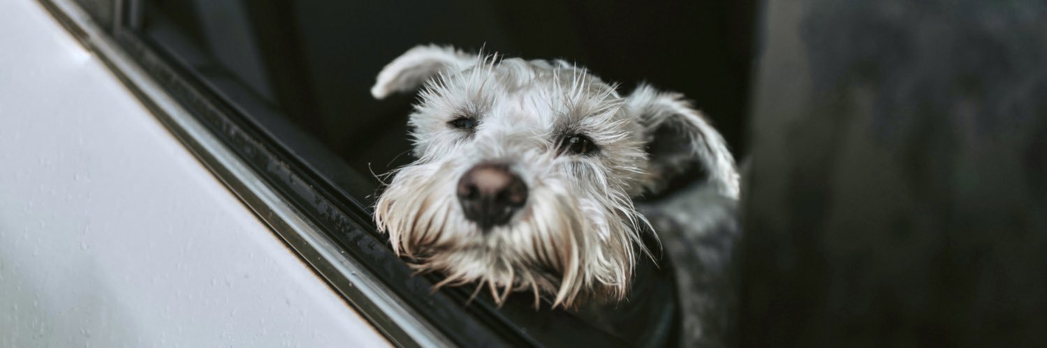 fredthemini's profile banner image