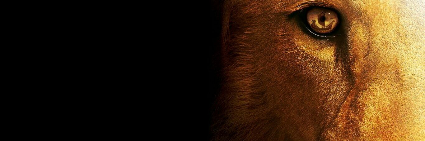 Selector__'s profile banner image