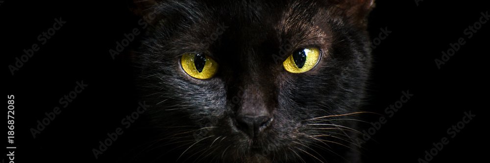 AJBruno_'s profile banner image