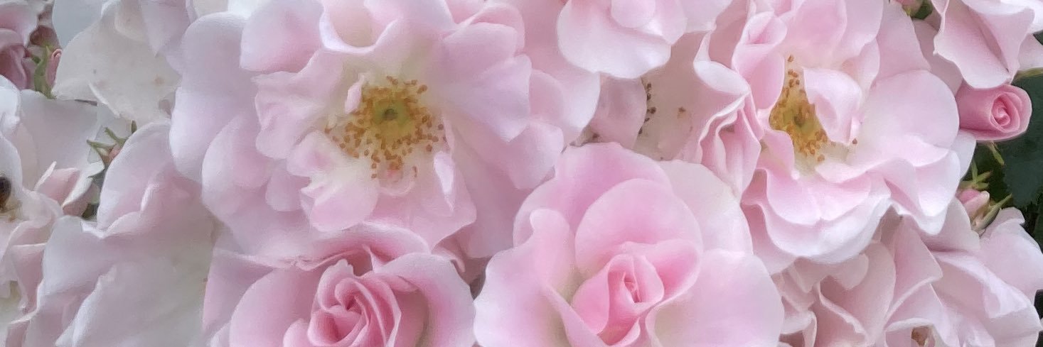 ハナブサ一次も二次も創作創作 banner