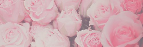 suszien's profile banner image
