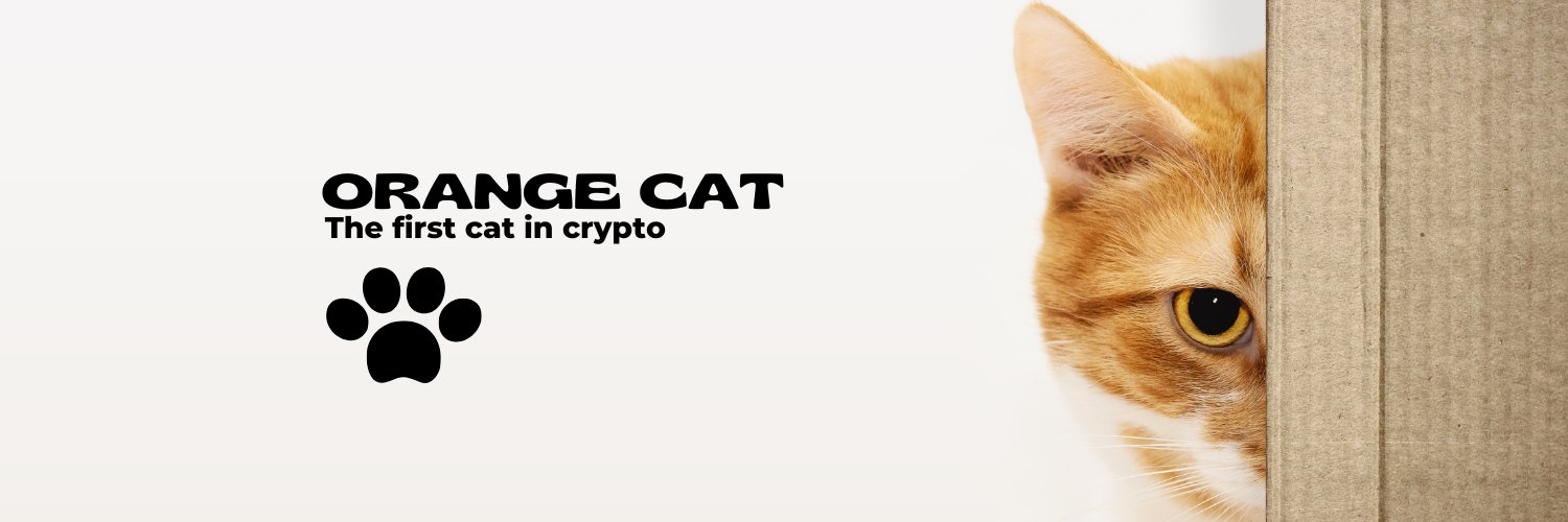 Orange Cat 🐱 banner