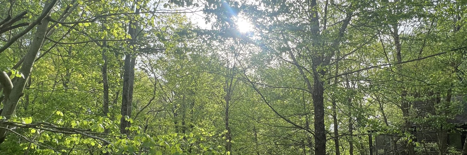 9madisonm's profile banner image