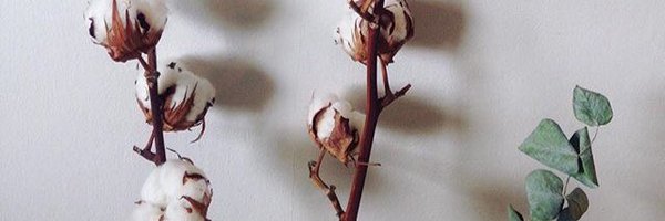 hanjun Profile Banner