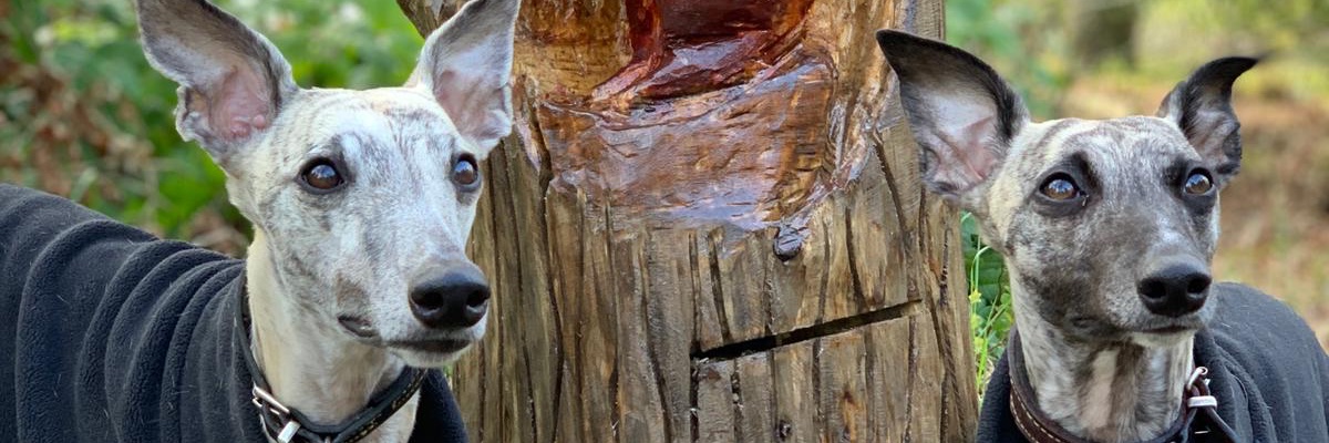 Chocolate_factory_siblings banner