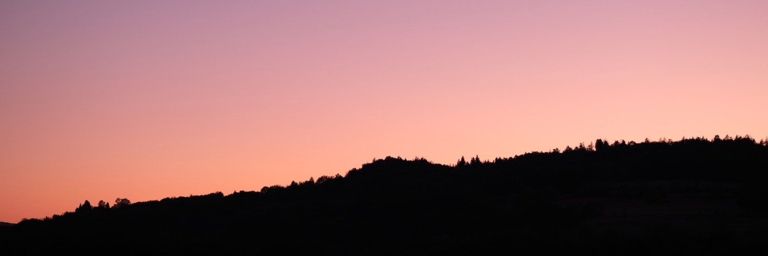 mistervi's profile banner image