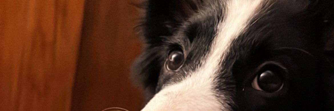 anap_c's profile banner image