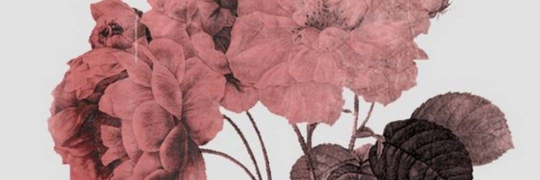 AnnGalvis's profile banner image