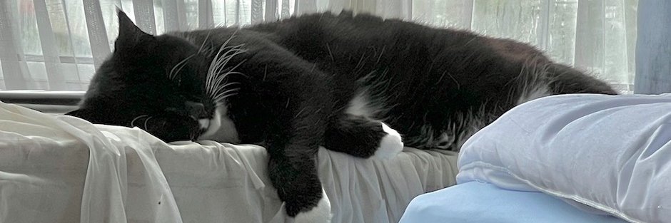 John 🇨🇾🌈 banner