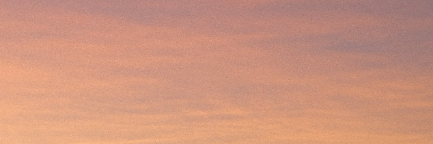 ana marques banner