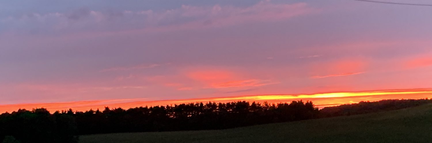 Lizzie_Tray3's profile banner image