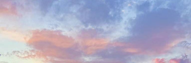 𝙁𝙡𝙮 𝙝𝙞𝙜𝙝's banner