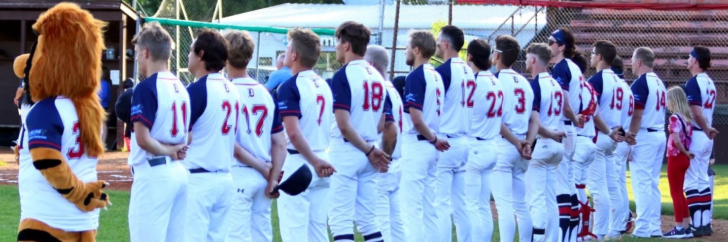 The Detroit Lakes Ligers banner