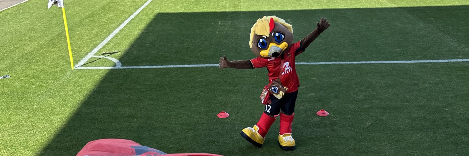 ペンイチロー🐧 banner