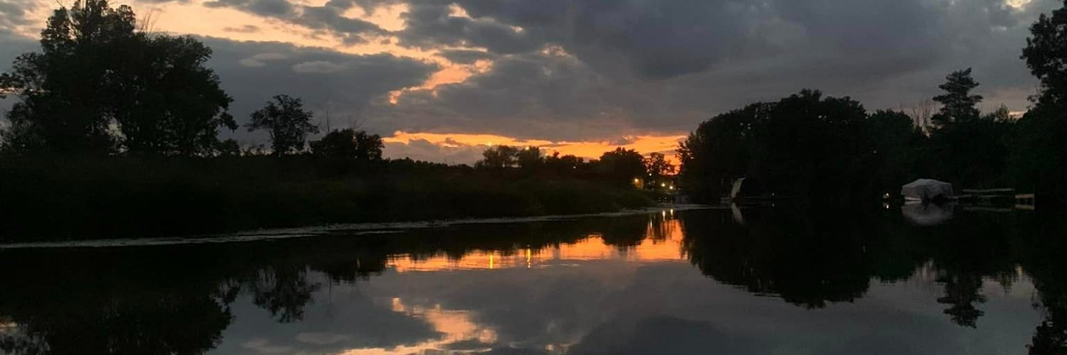 cryptobushnft banner