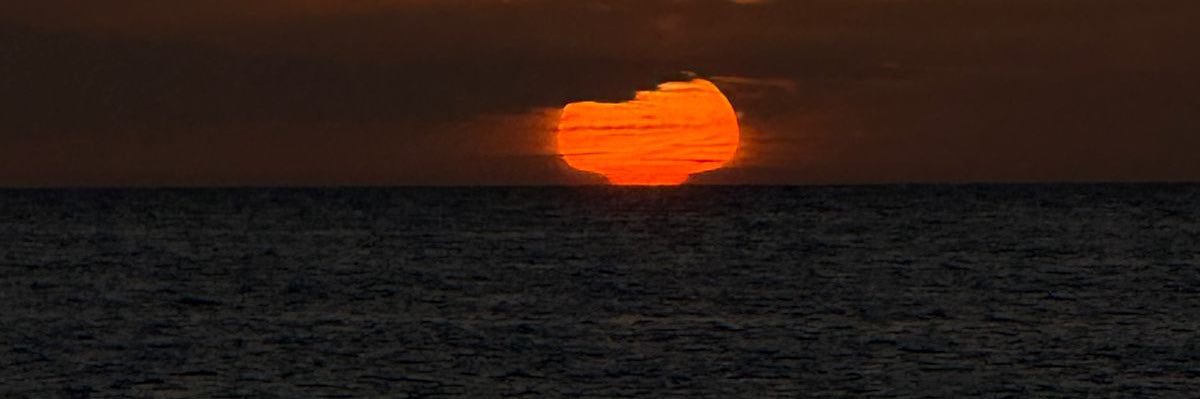 dann_ib's profile banner image