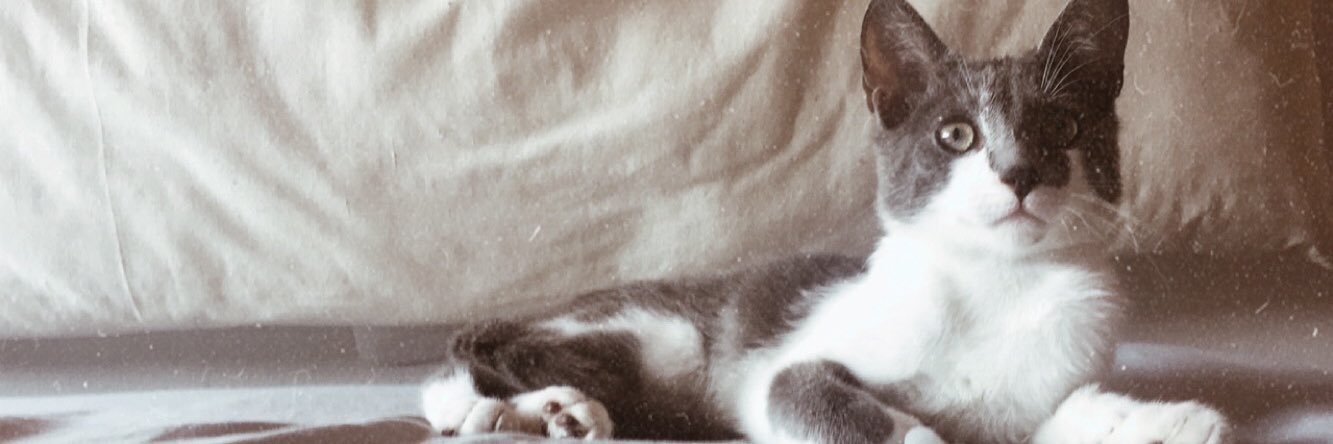 lucca711_'s profile banner image
