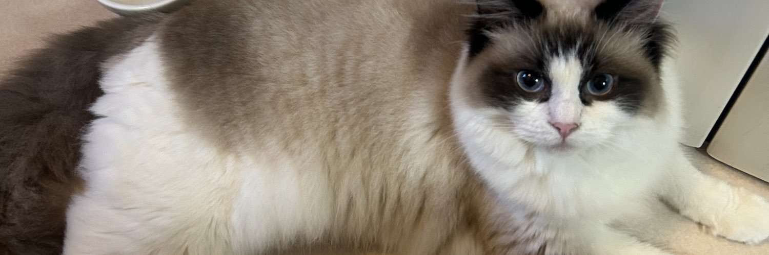 lxtyrn_'s profile banner image