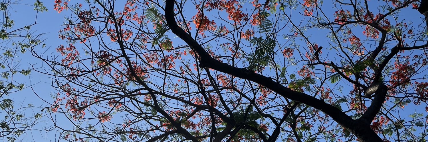 เห็นมั้ย😎😎😎 banner