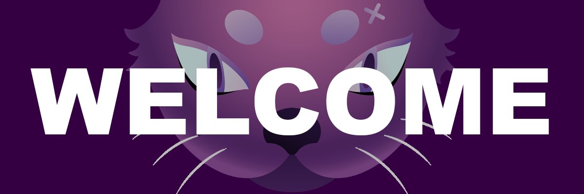 solidcattoken's profile banner image