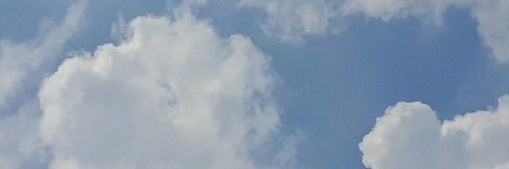N🕊 banner