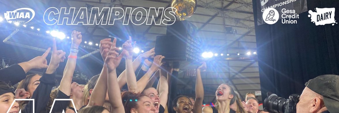 LadyWolvesBasketball banner