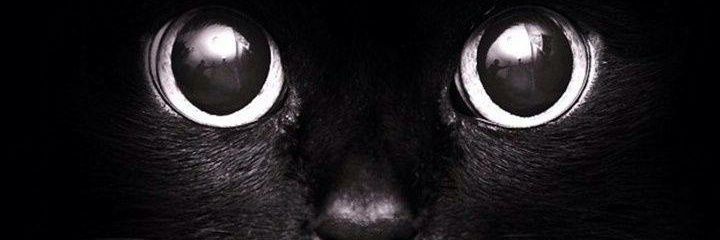 Macknaman1's profile banner image