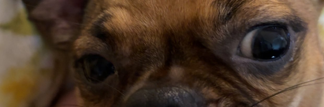 _jroccc's profile banner image