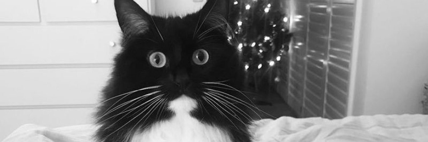 CilliBegonya's profile banner image