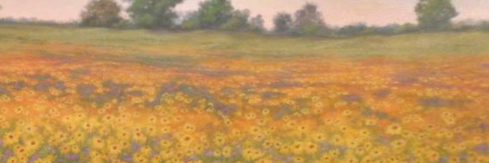 peglegmeg's profile banner image
