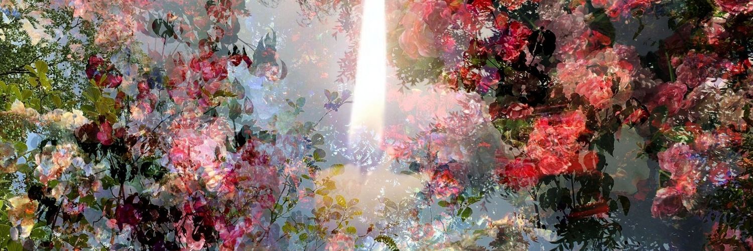 ن⚜️Fin des Temps ⚜️ن's banner