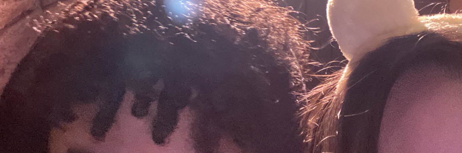 valleycfthedead's profile banner image