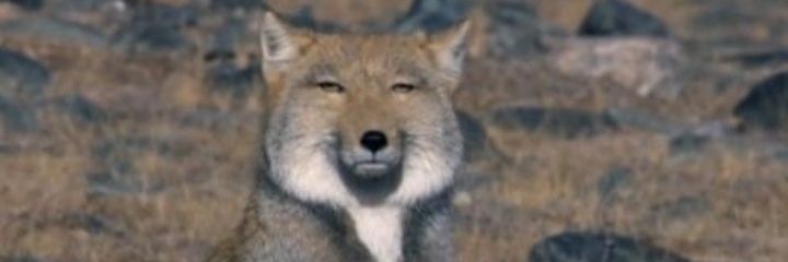 manwithaplan178's profile banner image