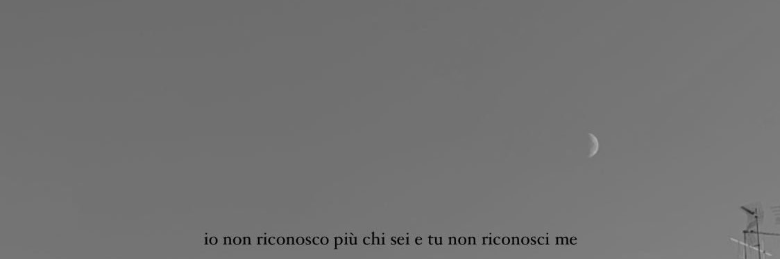 monia_effe's profile banner image