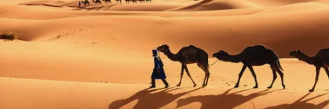 MarzipanCamels's profile banner image