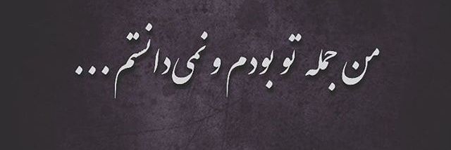 امیر تاجرنیا's banner