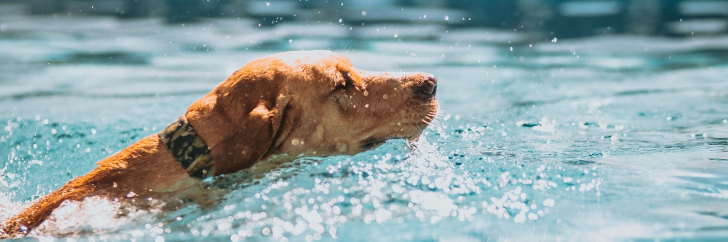 Groot & Riley banner
