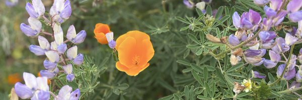 aldapireslab Profile Banner