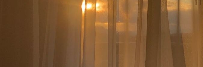 замороженная креветка banner